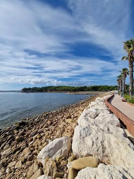 Rez-De-Jardin Sous Pins Et Plage Saint-Mandrier-sur-Mer