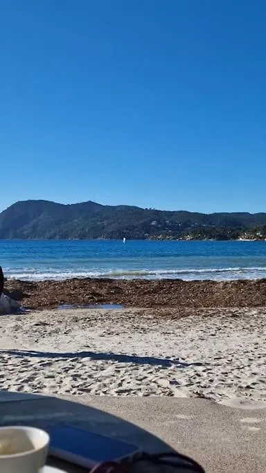 Rez-De-Jardin Sous Pins Et Plage Saint-Mandrier-sur-Mer France
